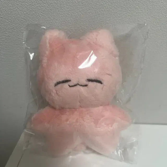 [미개봉] 엔시티 재현 인형 잰냥이