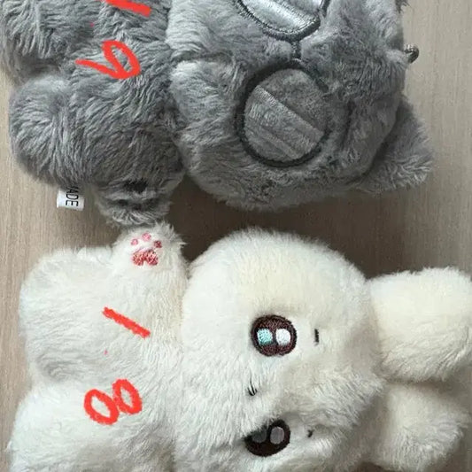 급처))) 모노틴 도토리 판매