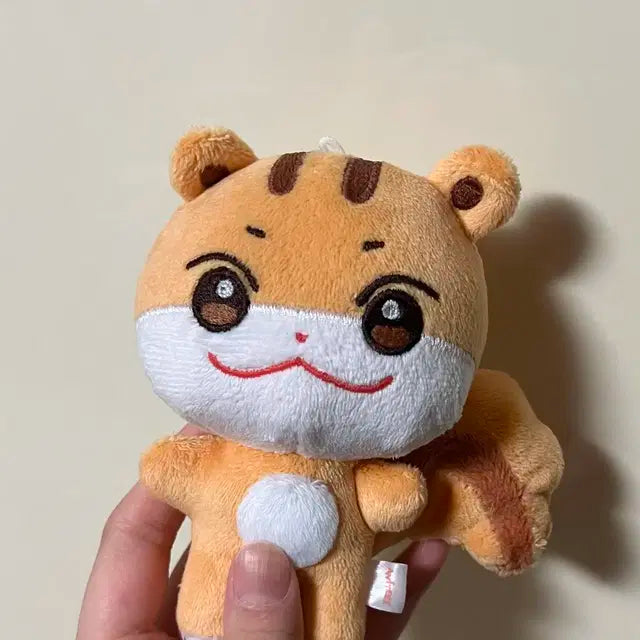 애니티즈 쭝라미 에이티즈 홍중 인형 판매
