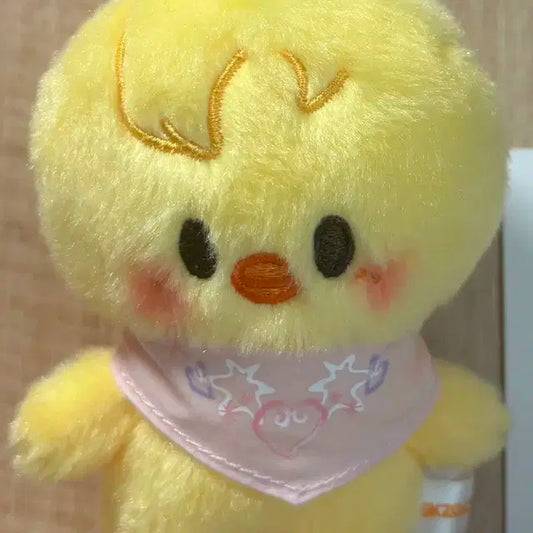 뽁아리 10cm 인형 스키주 5ClOCK 팬미팅 뽁아리