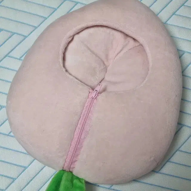 20깅 복숭아 인형케이스