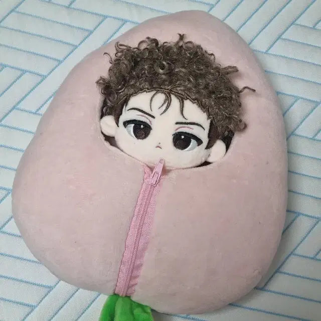 20깅 복숭아 인형케이스