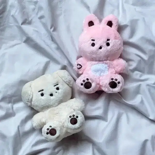 데이식스 콩필이 콩돗개