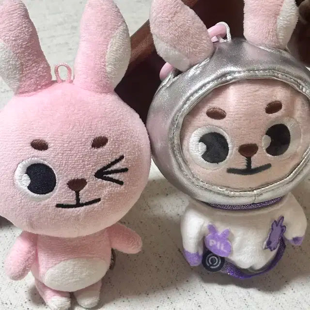데이식스 데니멀즈 윙끼 19 20 필끼 양도