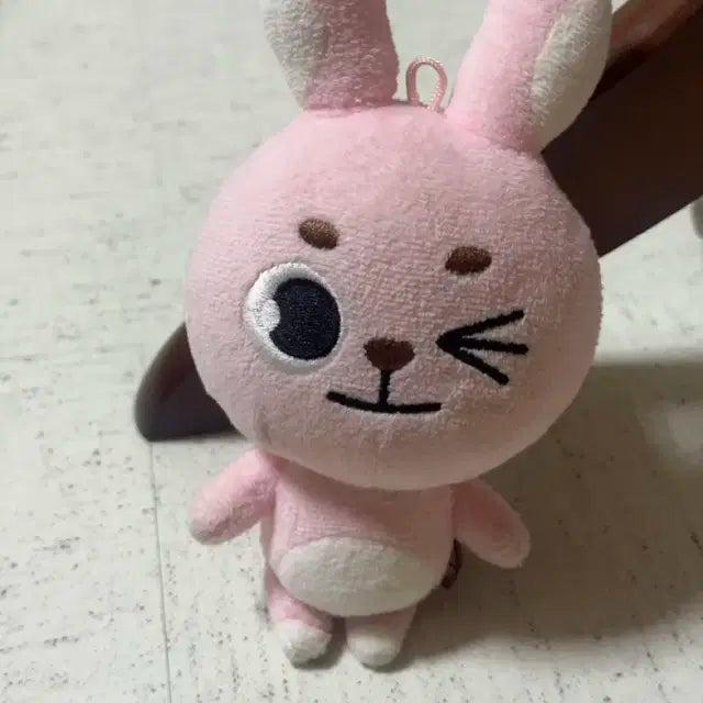 데이식스 데니멀즈 윙끼 19 20 필끼 양도
