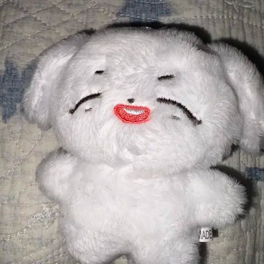 비투비 이창섭 댕댕섭 인형(급처)