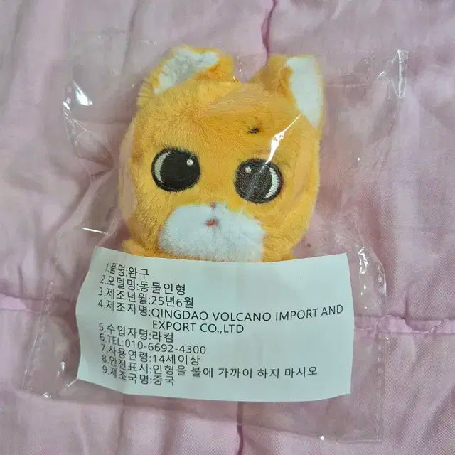 뭉디즈 뎡뭉 뜽뭉 엑디즈 정수 오드 인형 양도