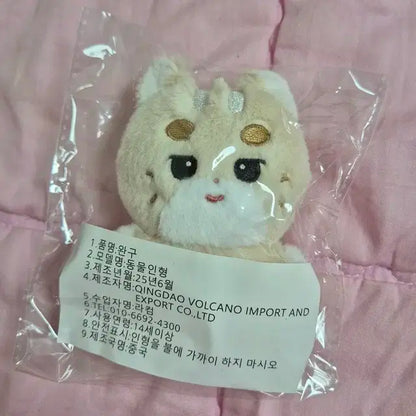 뭉디즈 뎡뭉 뜽뭉 엑디즈 정수 오드 인형 양도