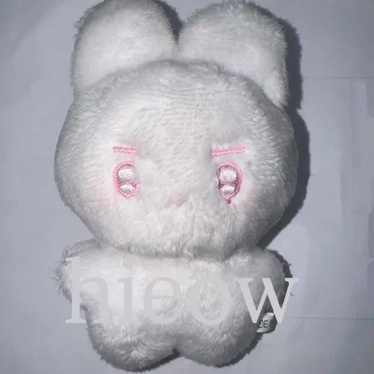 더보이즈 영훈 인형 빵바니 양도 /빵꼬미 설빵이 빵뭉이