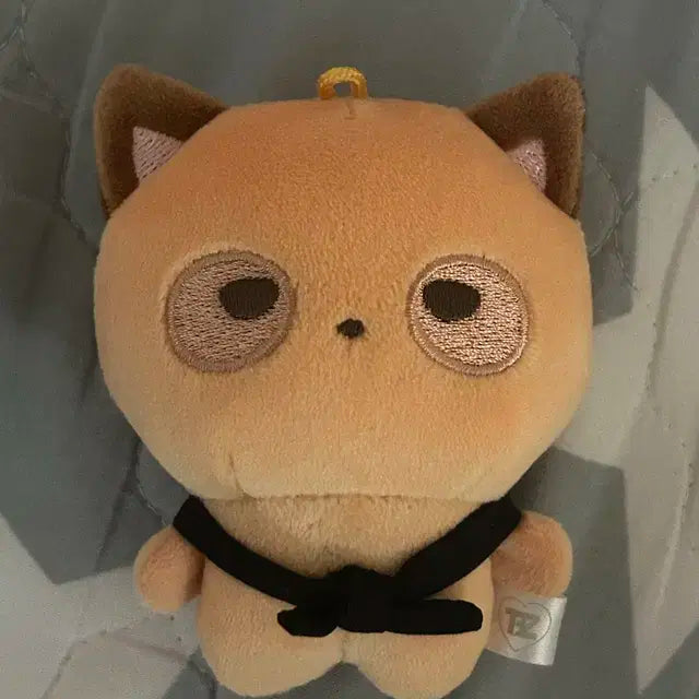 더보이즈 김선우 떤굴