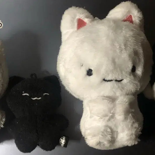 더보이즈 주연 인형 판매