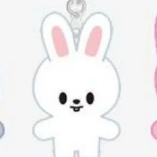 스키주 마이크로 리빗 키링