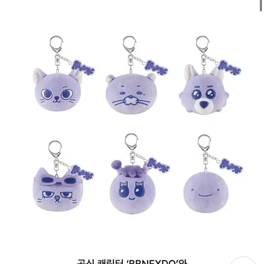 급처)) 보넥도 노장르 팝업 엠디