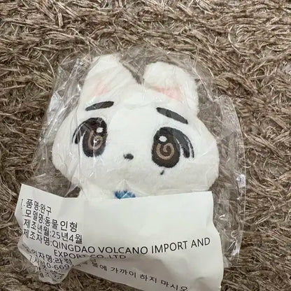보이넥스트도어 이한 비공굿 뭉한이 인형 미개봉