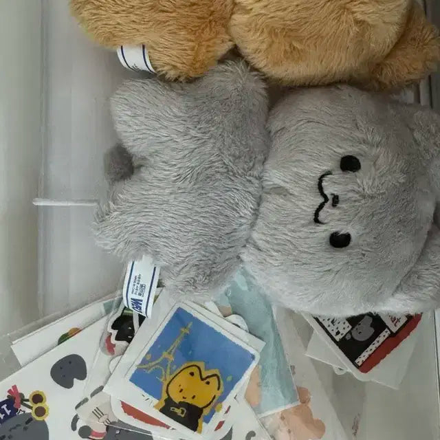 더보이즈 현재 주연 인형 달곰 쥬냥