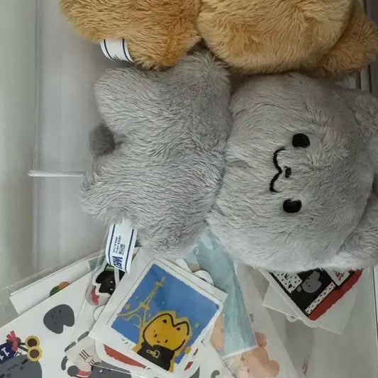 더보이즈 현재 주연 인형 달곰 쥬냥