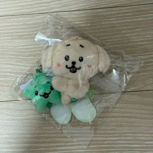 미니돌 댕트리버 판매합니다.