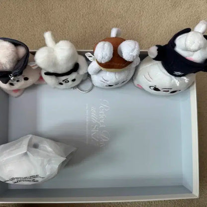 스키주 인형