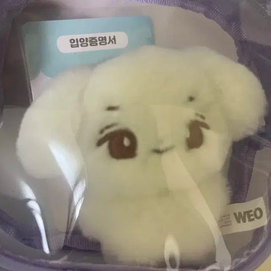 비투비 이창섭 인형 짠쪼 양도