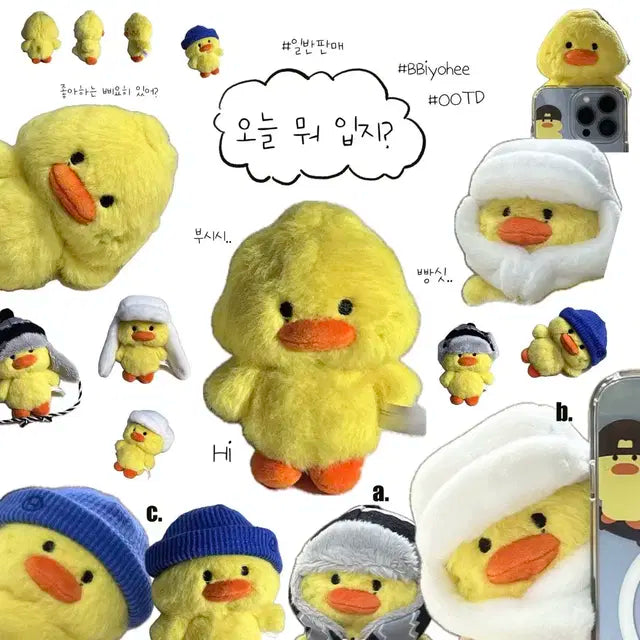 삐요히 라이즈 소희 인형 세트