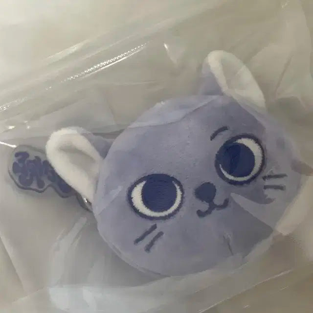 쁘넥도 캣삐 팔아요(노장르)