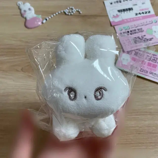 엔시티 도영 인형 미니 빙키 도행이 하또 무행이 뽀잉또 nct 뽀행이