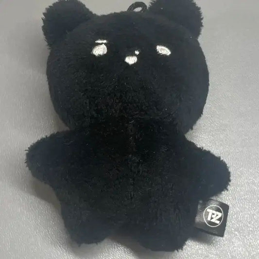 더보이즈 현재 공식인형 MD 탄곰이 양도
