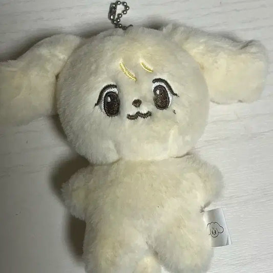 엔시티 정우 인형 쩡아지