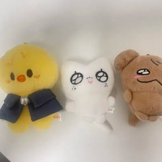 스키즈 스트레이키즈 인형 스키주10cm 광키즈 양도