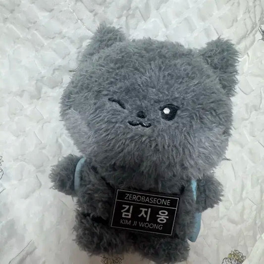 제베원 제로니 웅니니 메세지 키링 인형