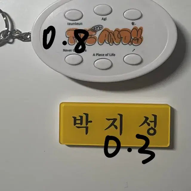 엔시티드림 지성명찰보이스키링 판매