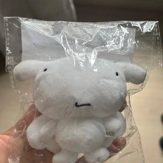 보넥도 운학 인형 행우나