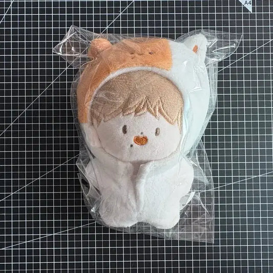 엔시티 드림 지성 포켓찌송
