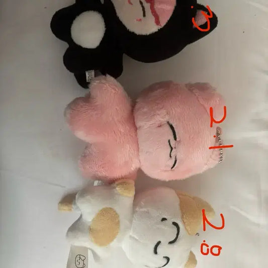 솜땀j 잰냥이 네로잰 팔아요