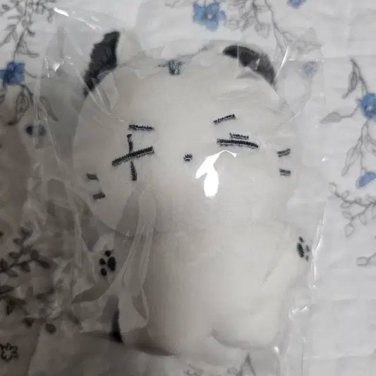 슈가 10센치 범디