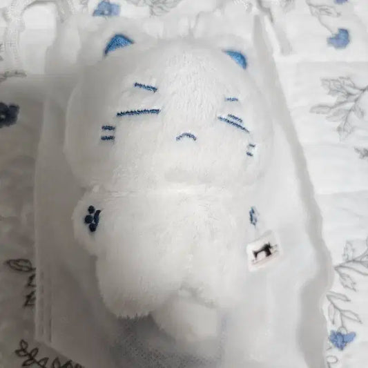 슈가 10센치 인형