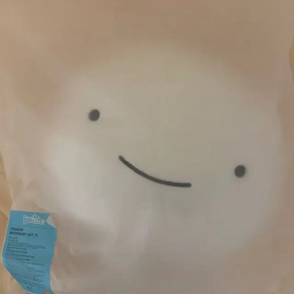보넥도 쁘넥도 운아기 쿠션