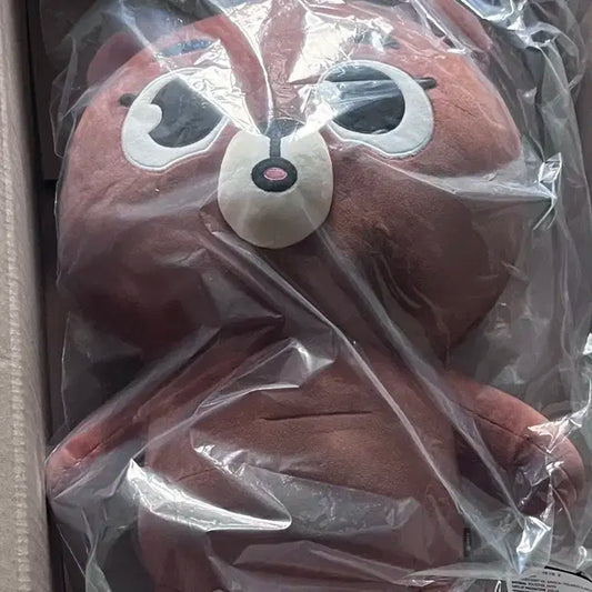 자이언트데니멀즈 방 +폴라로이드