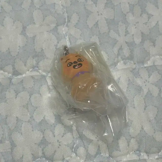 스키주 메시루지 가챠 울프찬 한쿼카