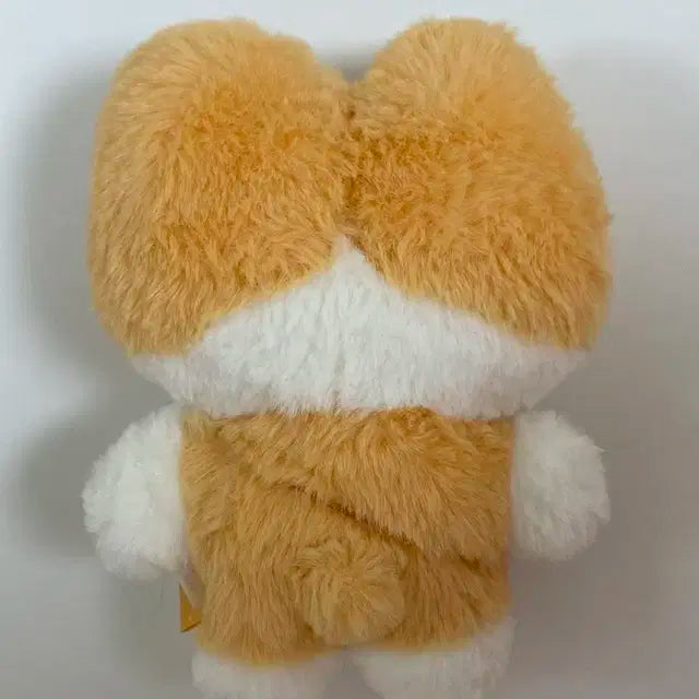 백현 터래기 20cm인형 (포카포함)