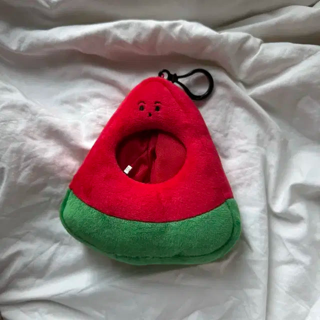 수박 인형옷 엔시티마크위시드림치타리