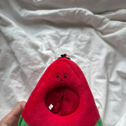 수박 인형옷 엔시티마크위시드림치타리