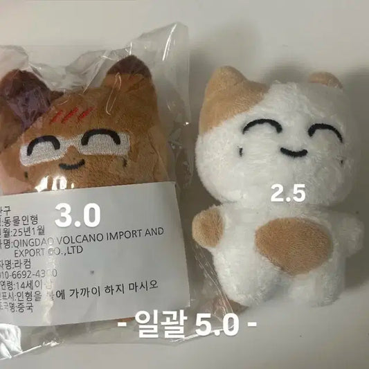 엔시티 재현 인형 솜땀이 탄땀이 양도