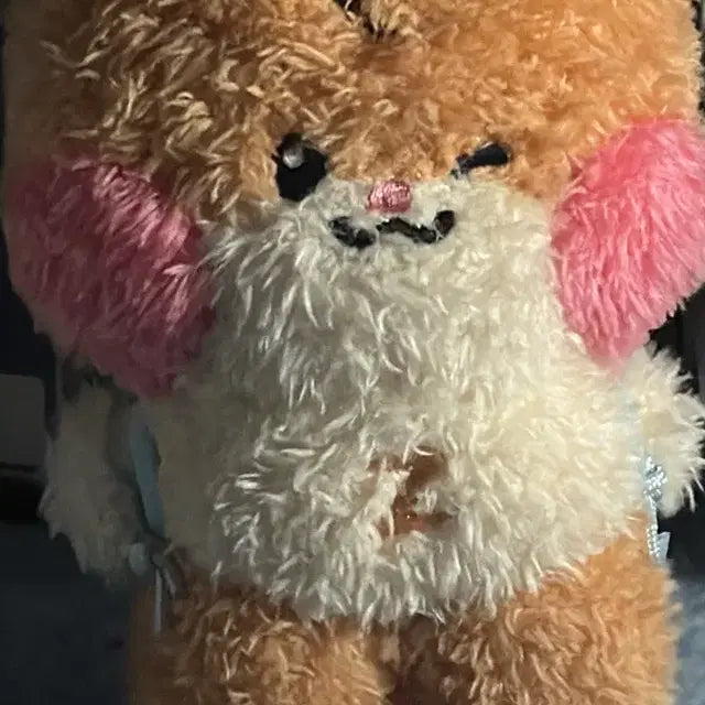 제로베이스원 제베원 성한빈 제로니 메세지 중형 비니니