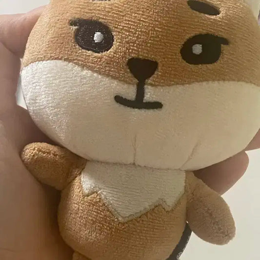24데니멀즈 케 양도합니다