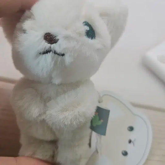 사막여우 8cm 키링스캔딩
