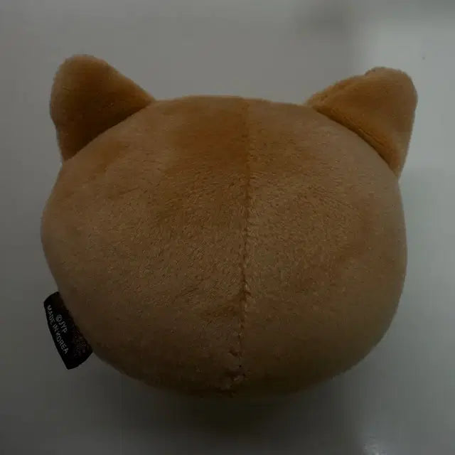 데이식스 데니멀즈 스트레스볼 영케이 케