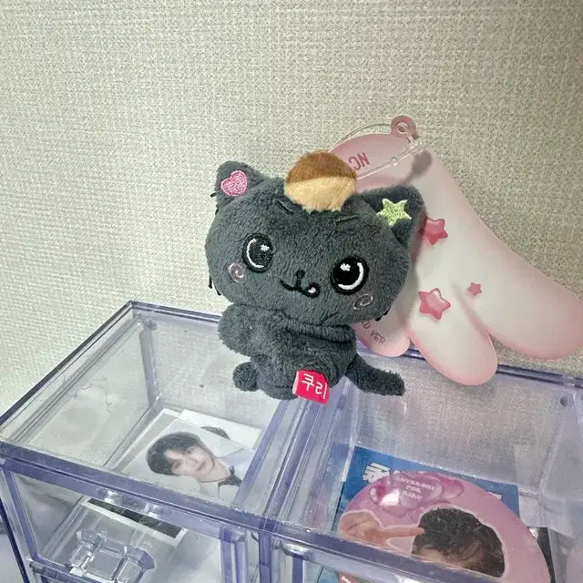 엔시티 위시 미니돌 쿠리