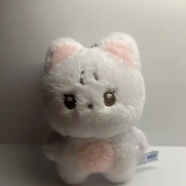 더보이즈 뉴 인형 차니냥