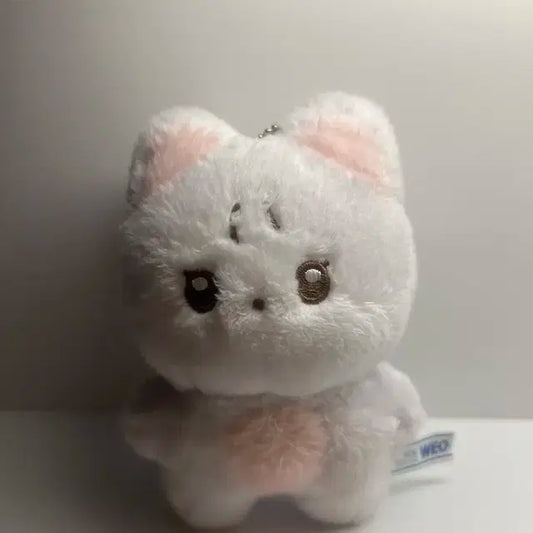 더보이즈 뉴 인형 차니냥